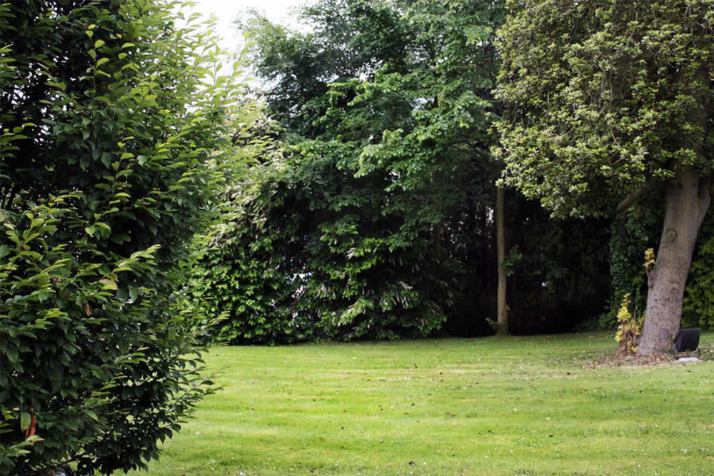 Belmont Hall Newry Dış mekan fotoğraf